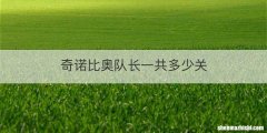 奇诺比奥队长一共多少关