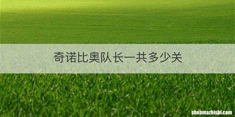 奇诺比奥队长一共多少关