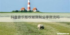 抖音音乐版权被限制分享限流吗
