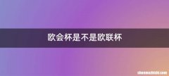 欧会杯是不是欧联杯