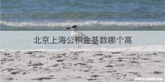北京上海公积金基数哪个高