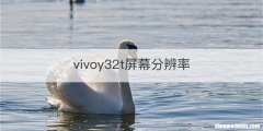vivoy32t屏幕分辨率