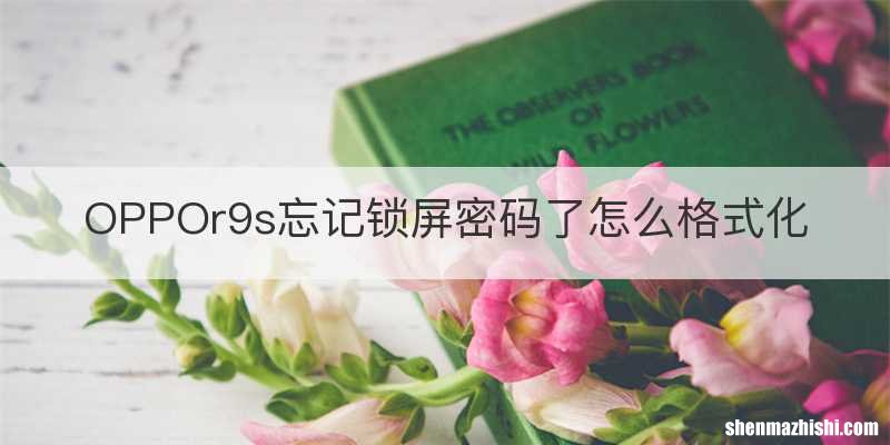 OPPOr9s忘记锁屏密码了怎么格式化