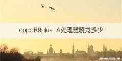 oppoR9plusA处理器骁龙多少