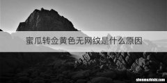 蜜瓜转佥黄色无网纹是什么原因