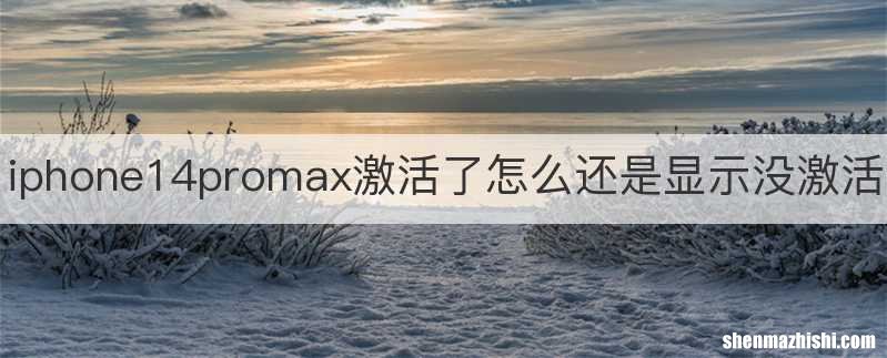 iphone14promax激活了怎么还是显示没激活