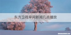 东方卫视早间新闻几点播放