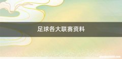 足球各大联赛资料