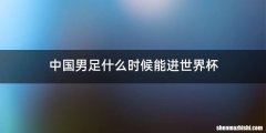 中国男足什么时候能进世界杯