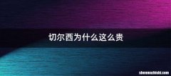 切尔西为什么这么贵