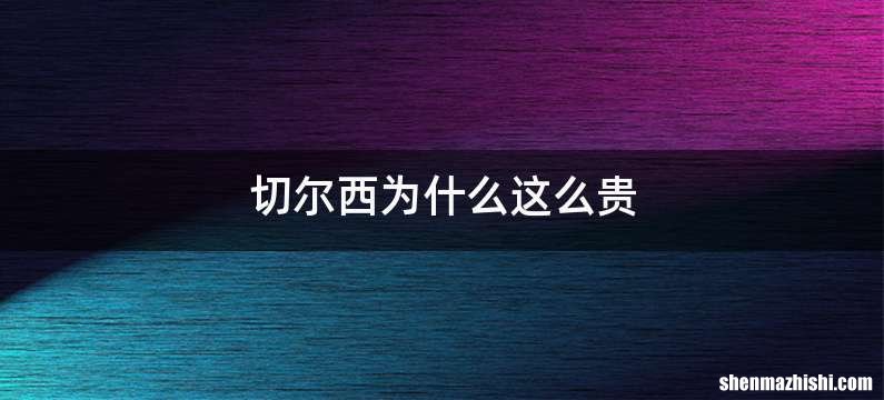 切尔西为什么这么贵