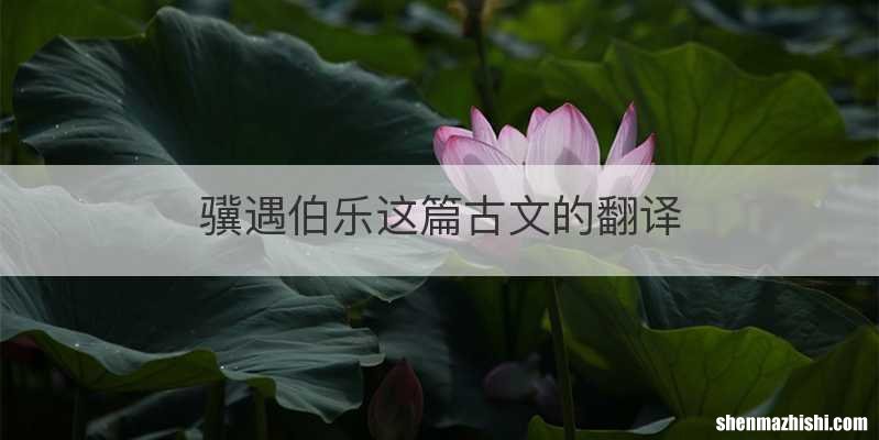 骥遇伯乐这篇古文的翻译