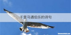 千里马遇伯乐的诗句