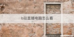 b站直播电脑怎么看