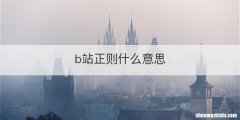 b站正则什么意思