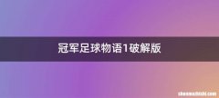 冠军足球物语1破解版