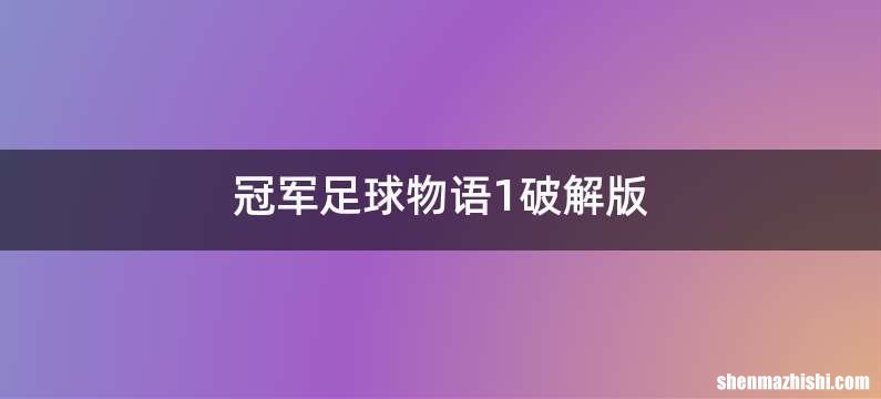 冠军足球物语1破解版