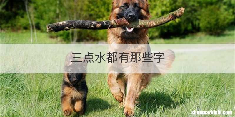 三点水都有那些字