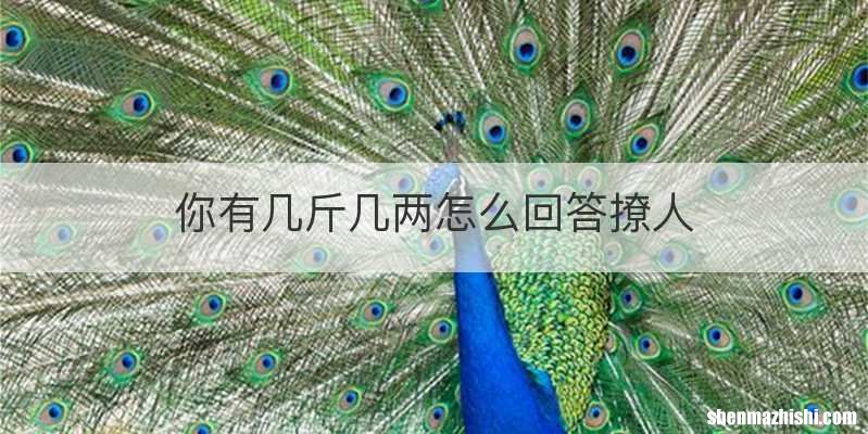 你有几斤几两怎么回答撩人