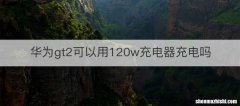华为gt2可以用120w充电器充电吗
