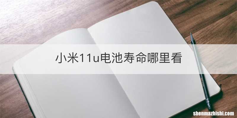 小米11u电池寿命哪里看