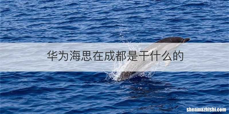 华为海思在成都是干什么的