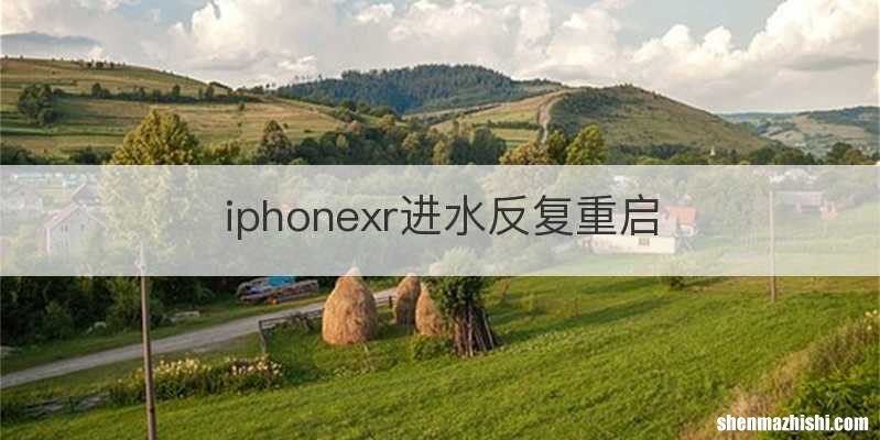 iphonexr进水反复重启