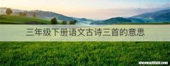 三年级下册语文古诗三首的意思