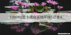 10606g显卡适合买地平线5还是4