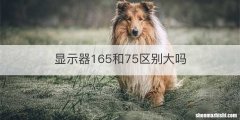 显示器165和75区别大吗
