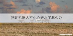 扫地机器人不小心进水了怎么办