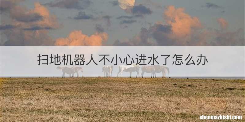 扫地机器人不小心进水了怎么办