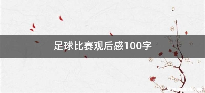 足球比赛观后感100字