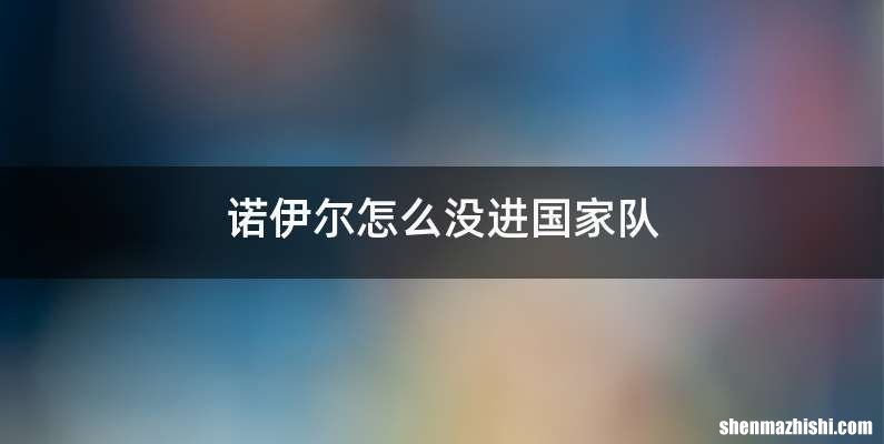 诺伊尔怎么没进国家队