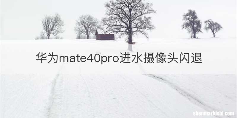华为mate40pro进水摄像头闪退