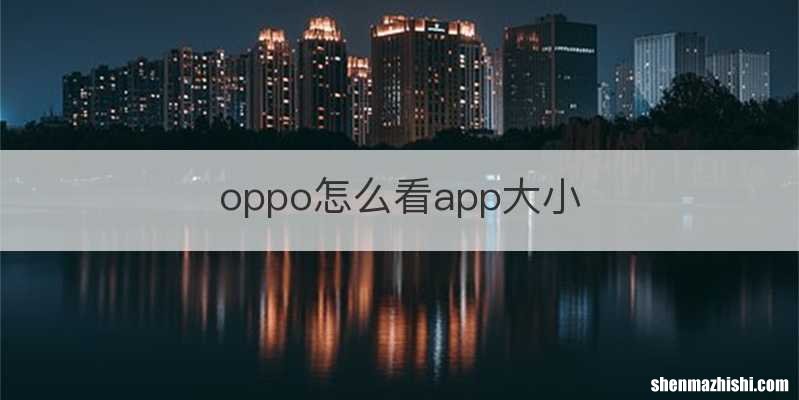 oppo怎么看app大小