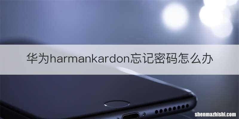 华为harmankardon忘记密码怎么办