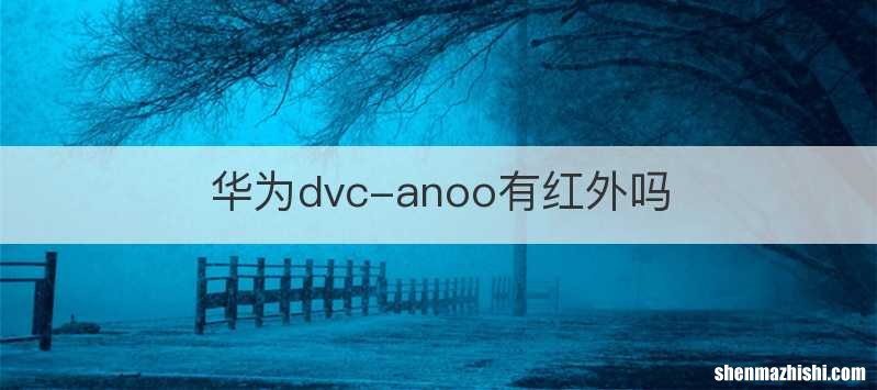 华为dvc-anoo有红外吗