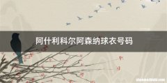 阿什利科尔阿森纳球衣号码