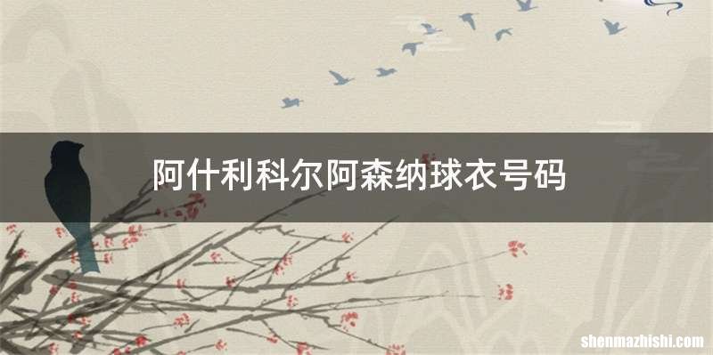 阿什利科尔阿森纳球衣号码