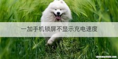 一加手机锁屏不显示充电速度