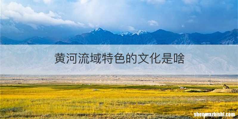 黄河流域特色的文化是啥