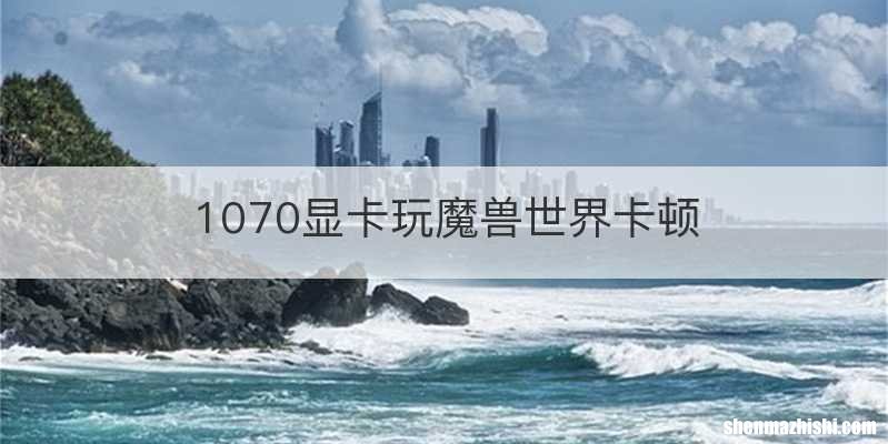 1070显卡玩魔兽世界卡顿