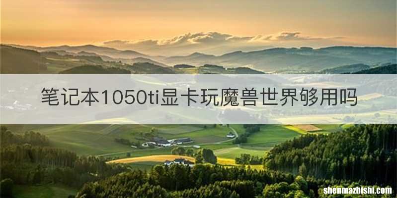 笔记本1050ti显卡玩魔兽世界够用吗