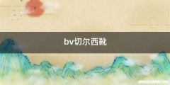 bv切尔西靴