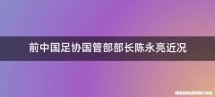 前中国足协国管部部长陈永亮近况