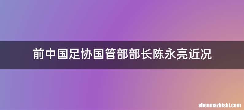 前中国足协国管部部长陈永亮近况