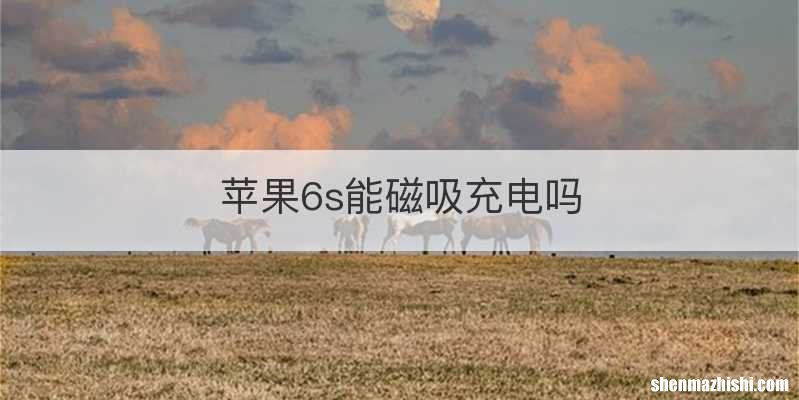 苹果6s能磁吸充电吗