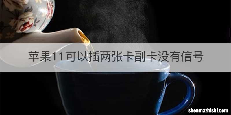 苹果11可以插两张卡副卡没有信号