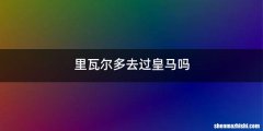 里瓦尔多去过皇马吗